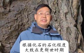 酉水溯源，探尋遠古人類新證據